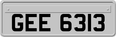 GEE6313