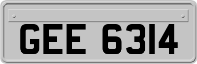 GEE6314