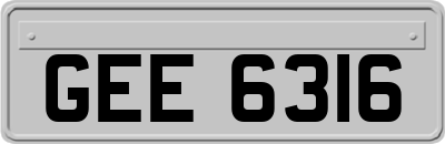 GEE6316