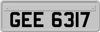 GEE6317