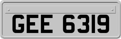 GEE6319