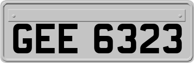 GEE6323