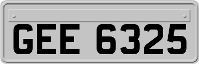 GEE6325