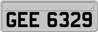 GEE6329