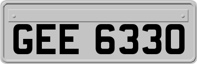 GEE6330