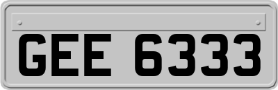 GEE6333