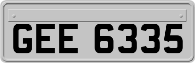 GEE6335