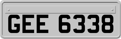GEE6338