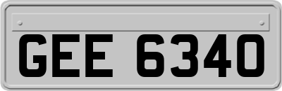 GEE6340
