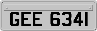 GEE6341