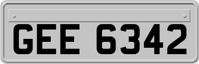 GEE6342