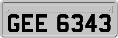 GEE6343
