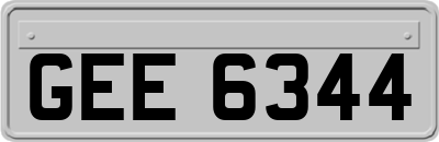 GEE6344
