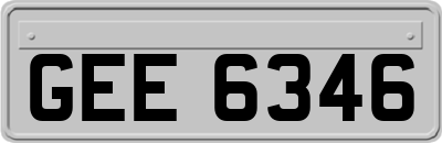 GEE6346