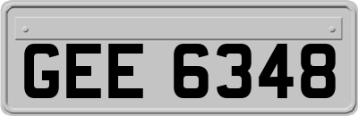 GEE6348