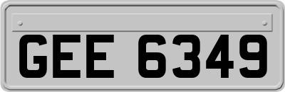 GEE6349