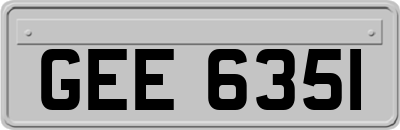 GEE6351