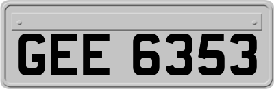 GEE6353