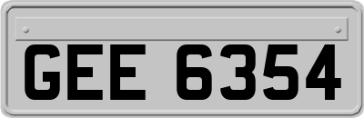 GEE6354