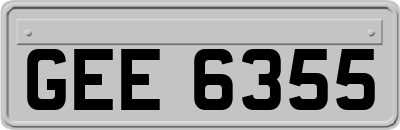 GEE6355