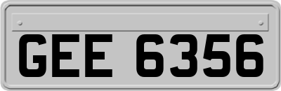 GEE6356