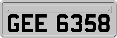 GEE6358