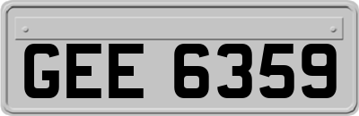 GEE6359