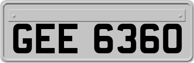 GEE6360