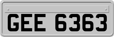 GEE6363