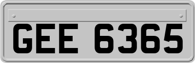 GEE6365