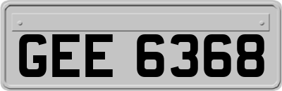 GEE6368