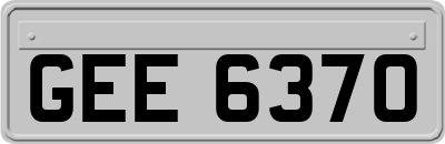 GEE6370