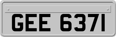 GEE6371
