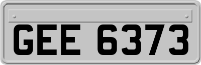 GEE6373