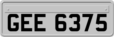 GEE6375