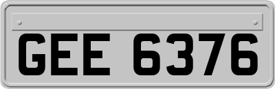 GEE6376
