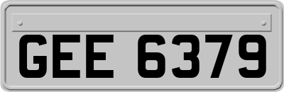 GEE6379