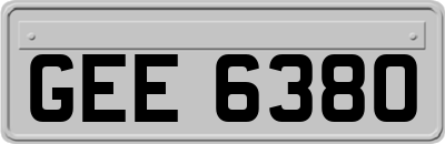 GEE6380
