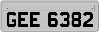 GEE6382