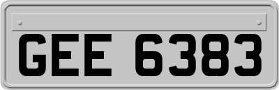 GEE6383