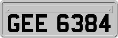 GEE6384