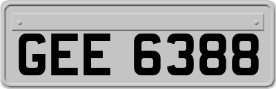 GEE6388