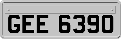 GEE6390