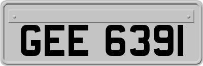 GEE6391