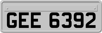 GEE6392