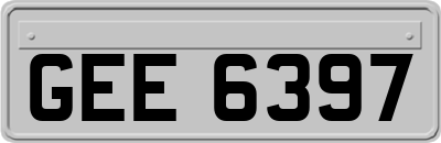 GEE6397