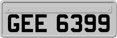 GEE6399