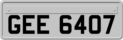 GEE6407