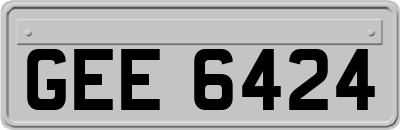 GEE6424