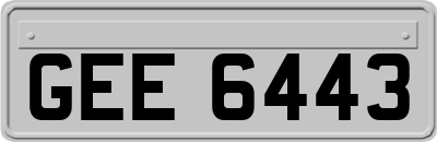 GEE6443